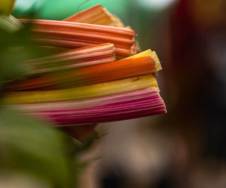 Botte de blettes aux côtes blanches et feuilles vertes