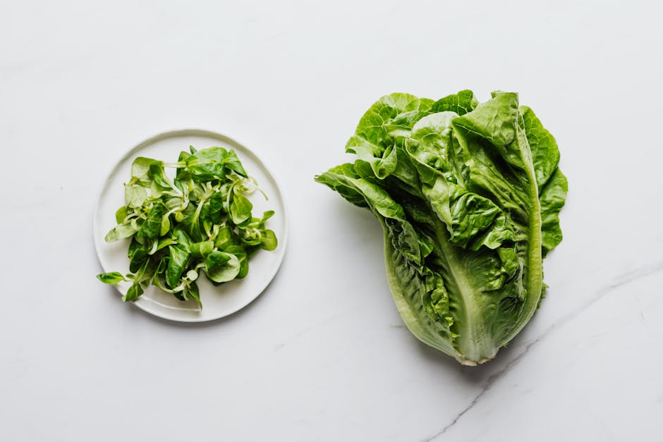 Légumes à feuilles vertes frais sur un plan de travail