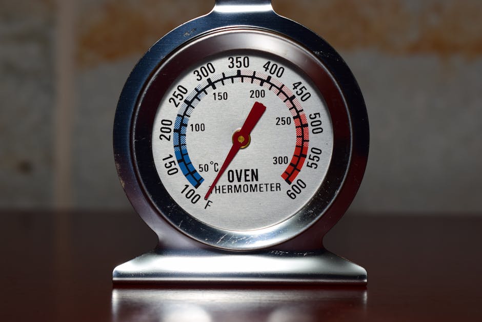 Sonde thermomètre numérique pour contrôle de la cuisson